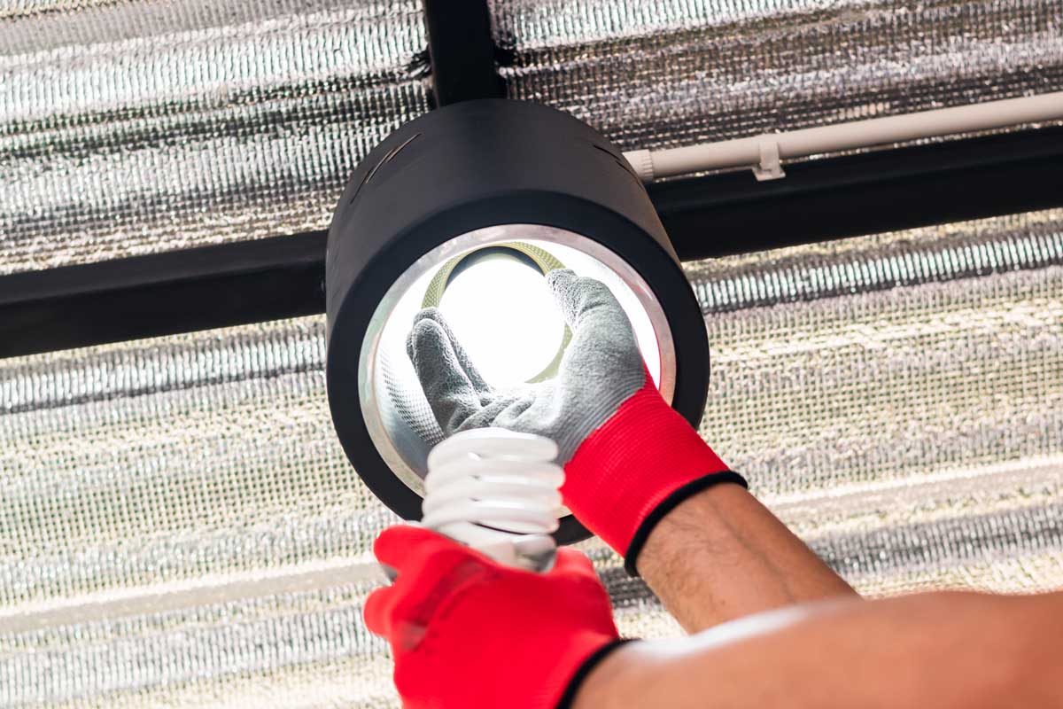 Hausmeisterservice für Wohnanlagen und Gewerbeimmobilien – Witzling Dienstleistungen